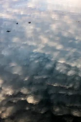 Reflektioner av moln och fåglar på ytan av floden Garonne i Toulouse, Haute-Garonne (foto)