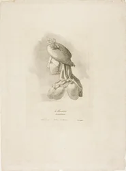 The Butcher-Woman, från Arts et Métiers