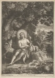 Johannes i vildmarken