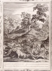 Actaeon förvandlades till en hjort och slukade av sina hundar, 1731