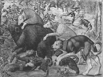 Maximilians jakter, Stenbocken, vildsvinsjakten, detalj av jakthundar som angriper vildsvinet, Gobelinfabriken