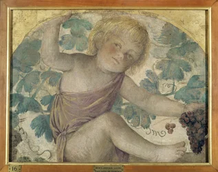 Skörda putti - Putto under en pergola, ca 1514 (fristående fresk ombord)