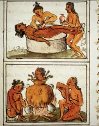 Människooffer och kannibalism hos aztekerna. Manuskript av Bernardino Sahagún