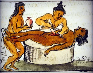 Människooffer: rituella offer bland aztekerna. Från ett manuskript av Bernardino de Sahagun