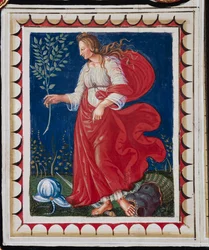 Piccolominibiblioteket, taket, panel med fredsallegori, fresk av Bernardino di Betto, känd som Pinturicchio.