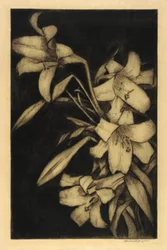 Påsk, eller Madonna, Liljor