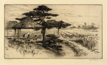 Iristrädgård