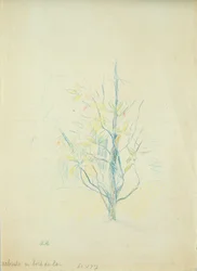 Buskar vid sjön, 1893 (färgpenna på papper)