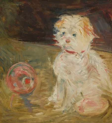 Bollhund.