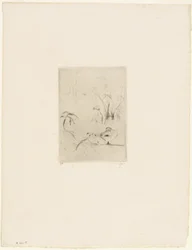 Ankan