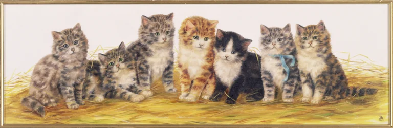 Sju kattungar
