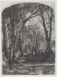 Woods [Bosco], ca 1895.