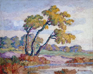 Kansas Landscape