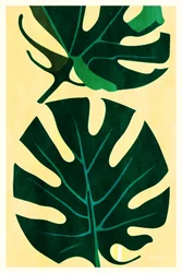 Tropiska Monstera-blad