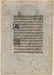 Blad från en timbok: Text (verso)