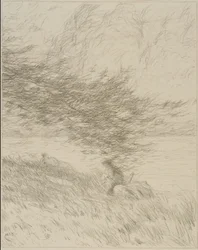 Tallgrenen