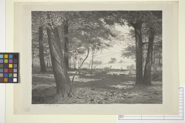 Edge Of The Woods (bläck på papper)
