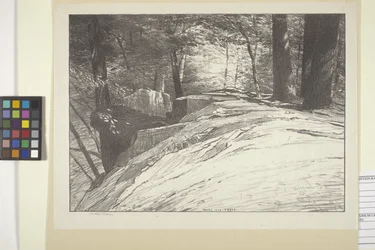 Rocks And Trees (bläck på papper)