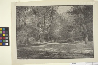 Sierra Woods (bläck på papper)