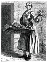 My Beautiful Pinks!, 1737-1742.