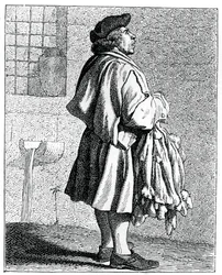 Kaninskinn!, 1737-1742.