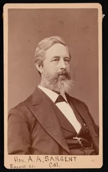 Porträtt av Aaron Augustus Sargent 1827-1887, före 1881.