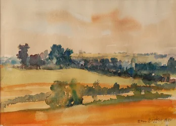Mogna fält, 1980