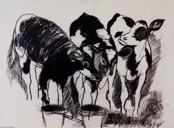 The New Calves (kol på papper)