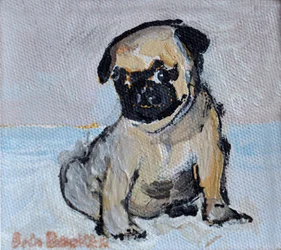 Vincent, mopsvalpen