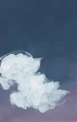 Indigo nattmoln