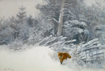 En räv i vinterskogen