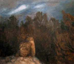 Ugglan djupt i skogen