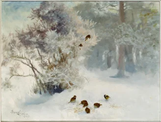 Fågelmatning i snön
