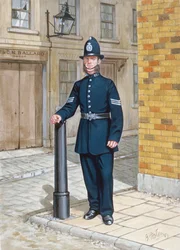 En sergeant från 1865 (färglitografi)
