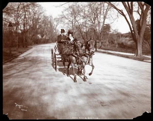 Anna Held och Florenz Ziegfeld kör en häst och vagn, New York, 1904 (silvergelatintryck)