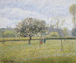 Äppelträd i blom på Eragny; Pommier en Fleur a Eragny, 1888