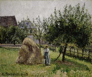 Äppelträd i Eragny, solig morgon, 1903