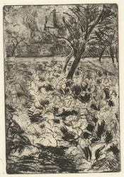 Knölfältet Le champ de choix