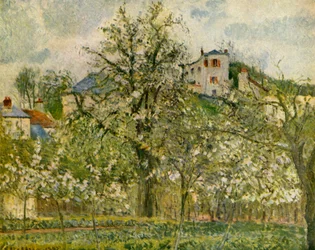 Köksträdgård med blommande fruktträd, 1877, 1939.