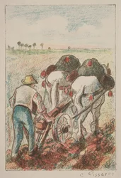 Plogen, 1901.
