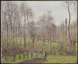 Poplar, grått väder, Eragny, 1895