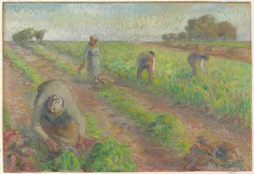 The Beet Harvest, 1881 (gouache över grafit på linne)