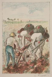 Plogen
