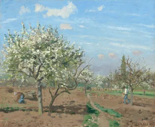 Orchard in Bloom, Louveciennes, 1872.