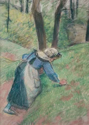 Bondekvinna som renar gräset, c1894