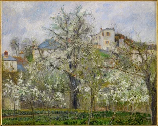 Vår, Päronblommor (olja på duk)
