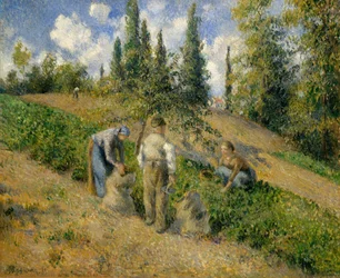 The Harvest, Pontoise The Harvest, Pontoise, 1881.