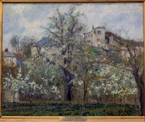 Köksträdgård och blommande träd på våren i Pontoise, blommande plommonträd, 1877, mått 0,65 x 0,81 m, Paris, Musée d