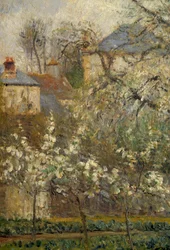Köksträdgård och blommande träd på våren i Pontoise