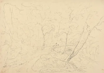 Holne Chase Bridge and River, 30 maj 1833